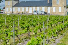 Vue du château d'Ornon et de ses vignes à Gradignan