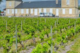 Vue du parc du château d'Ornon, le château et les vignes