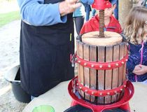 Photo fête des vendanges - Pressage du raisin - Agrandir l'image, .JPG 55,5 Ko (fenêtre modale)