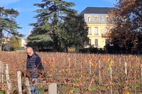 Vue extérieure du château Poumey avec les vignes