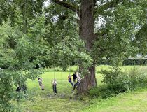animation grimpe arbre - Agrandir l'image, .JPG 2,0 Mo (fenêtre modale)