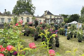 Tauzia fête les plantes et les jardins