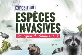 Exposition "Espèces invasives. Pourquoi ? Comment ?" à la Maison de la Nature