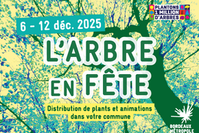 Arbre en fête 2025 : Distribution de composteurs