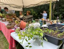 Dégustation et troc de plantes à l'occasion des Portes ouvertes sur la biodiversité 2025 - Agrandir l'image, .JPG 77,0 Ko (fenêtre modale)