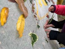 Des mains alimentant la fresque végétale participative à l'occasion des Portes ouvertes sur la biodiversité - Agrandir l'image, .JPG 75,2 Ko (fenêtre modale)
