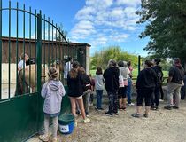 1 heure avec les soigneurs du parc au 45 ans de la Maison de la Nature de Gradignan - Agrandir l'image, .JPG 178,5 Ko (fenêtre modale)