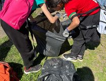 Enfants en train de ramasser les déchets lors de Mission Nature - Agrandir l'image, .JPG 135,7 Ko (fenêtre modale)