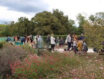 Vue extérieure avec public de la fête des vendanges 2022 - Agrandir l'image, .JPG 165,7 Ko (fenêtre modale)