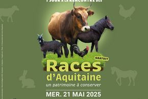 1 jour à la rencontre des Races d'Aquitaine, un patrimoine à conserver avec la Maison de la Nature