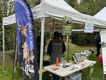 Stand du Conservatoire des Races d'Aquitaine à l'occasion des Portes ouvertes sur la biodiversité 2025 - Agrandir l'image, .JPG 119,3 Ko (fenêtre modale)
