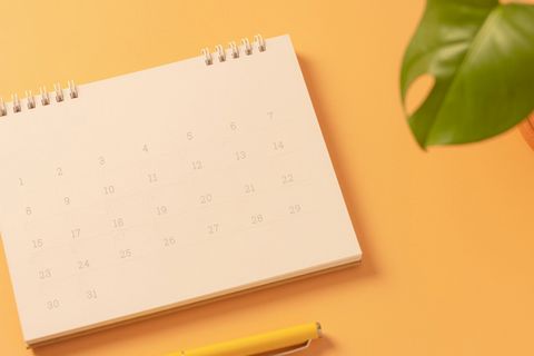 Vue d'un calendrier avec dates et plante.