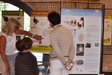 Vue intérieure d'une exposition à la Maison de la Nature.