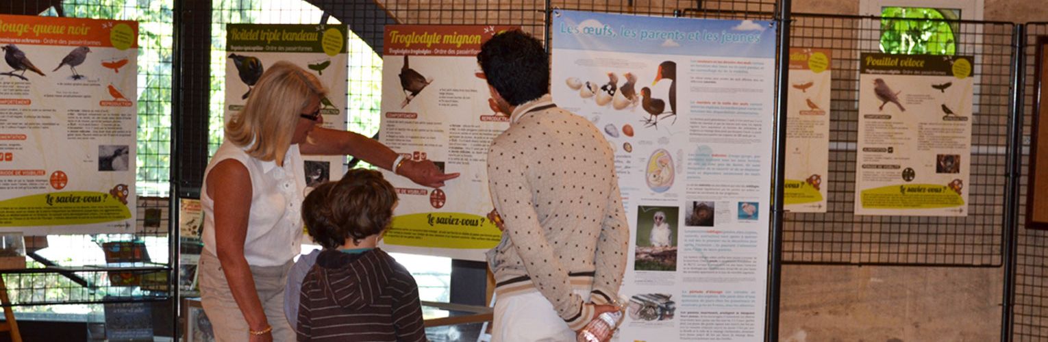 Vue intérieure d'une exposition à la Maison de la Nature.