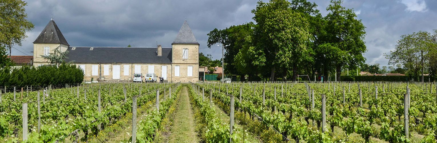 Les vignes de Poumey au château d'Ornon.