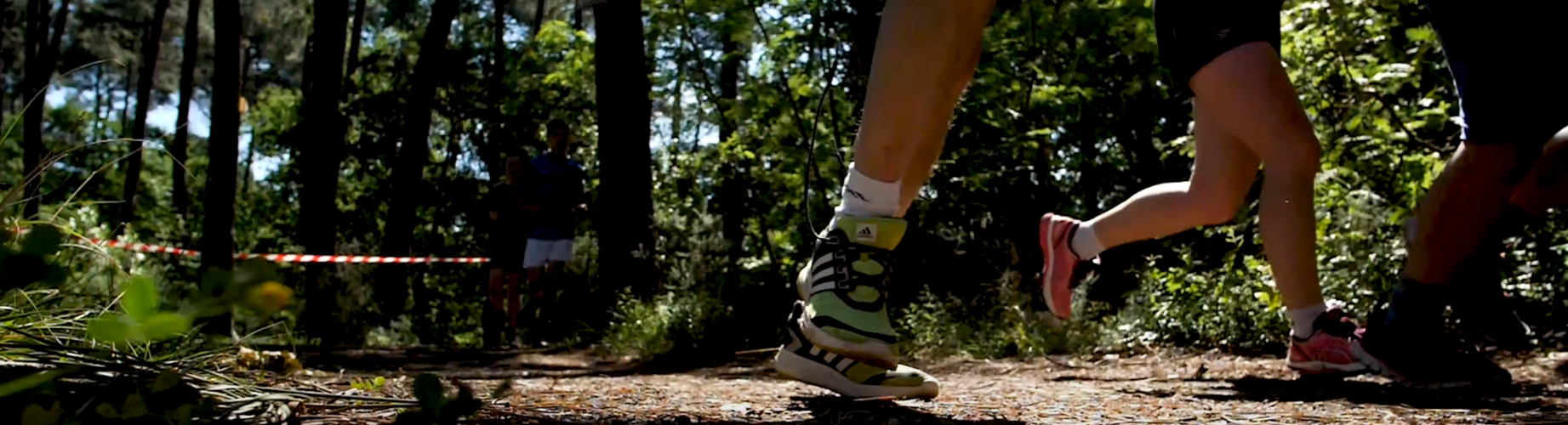 Vue de coureurs dans le bois de Mandavit