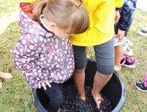 Photo fête des vendanges - Foulage du raisin - Agrandir l'image, .JPG 82,8 Ko (fenêtre modale)