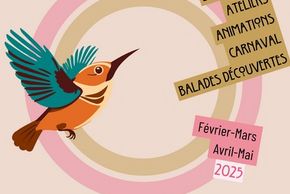 Exposition et cabinet de curiosités : les oiseaux