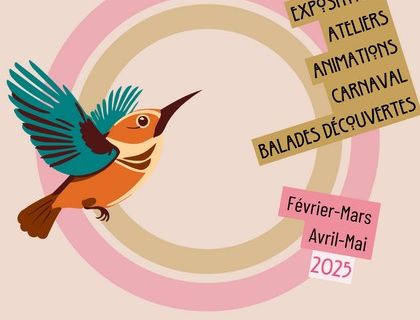 Cycle sur le thème des oiseaux à la Médiathèque Jean Vautrin