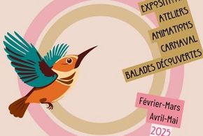 Atelier créatif autour des oiseaux