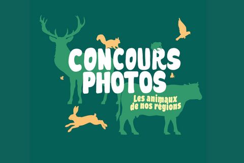 Concours photos 2025 : les animaux de nos régions