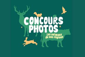 Concours photos "Les animaux de nos régions"