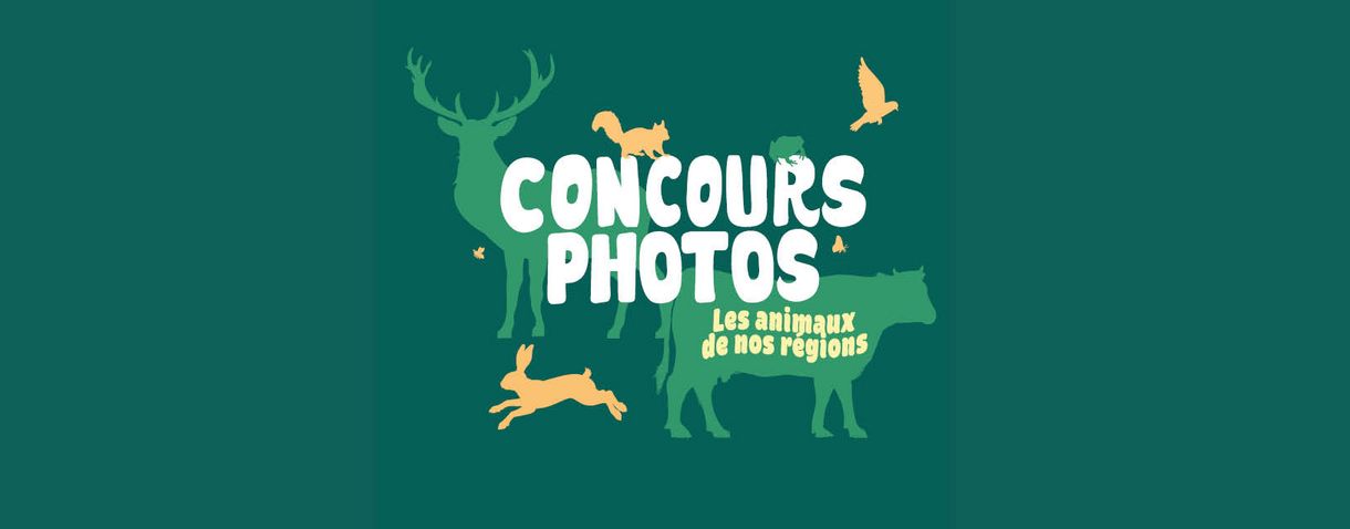 Concours photos 2025 : les animaux de nos régions